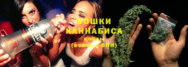ПСИЛОЦИБИНОВЫЕ ГРИБЫ Белокуриха
