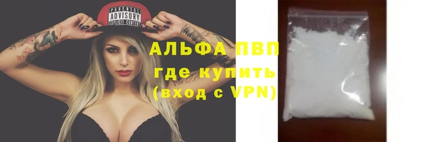 ПСИЛОЦИБИНОВЫЕ ГРИБЫ Белокуриха