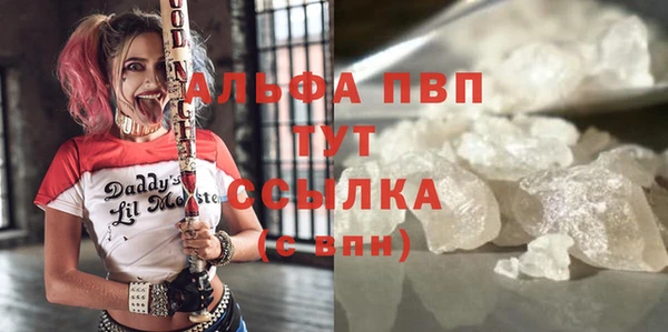 ПСИЛОЦИБИНОВЫЕ ГРИБЫ Белокуриха