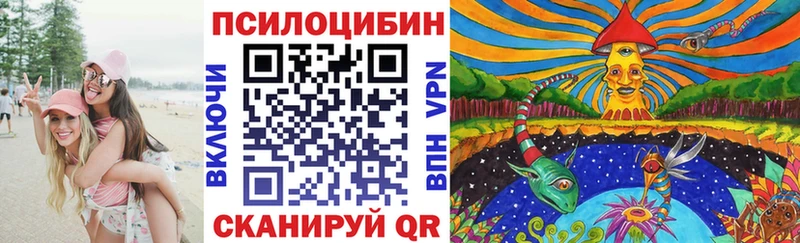 Псилоцибиновые грибы Psilocybe  Волхов 