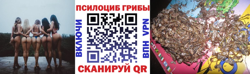 Псилоцибиновые грибы прущие грибы Волхов